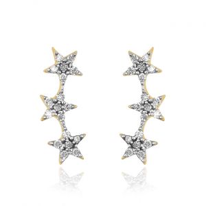 Classic Star shaped Earring