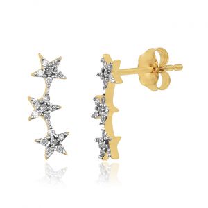 Classic Star shaped Earring